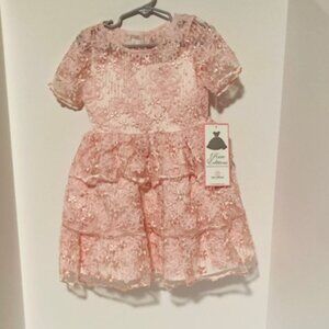 NWT Rare Editions Special Occasion Candy Carousel Pink Dress - Toddler Size 4T